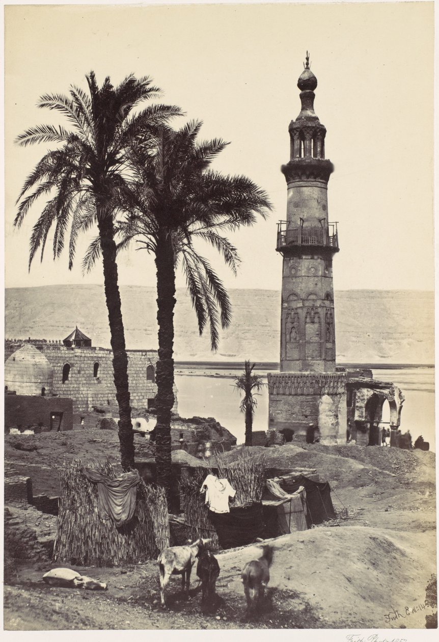 Vue de Girgeh - Francis Frith