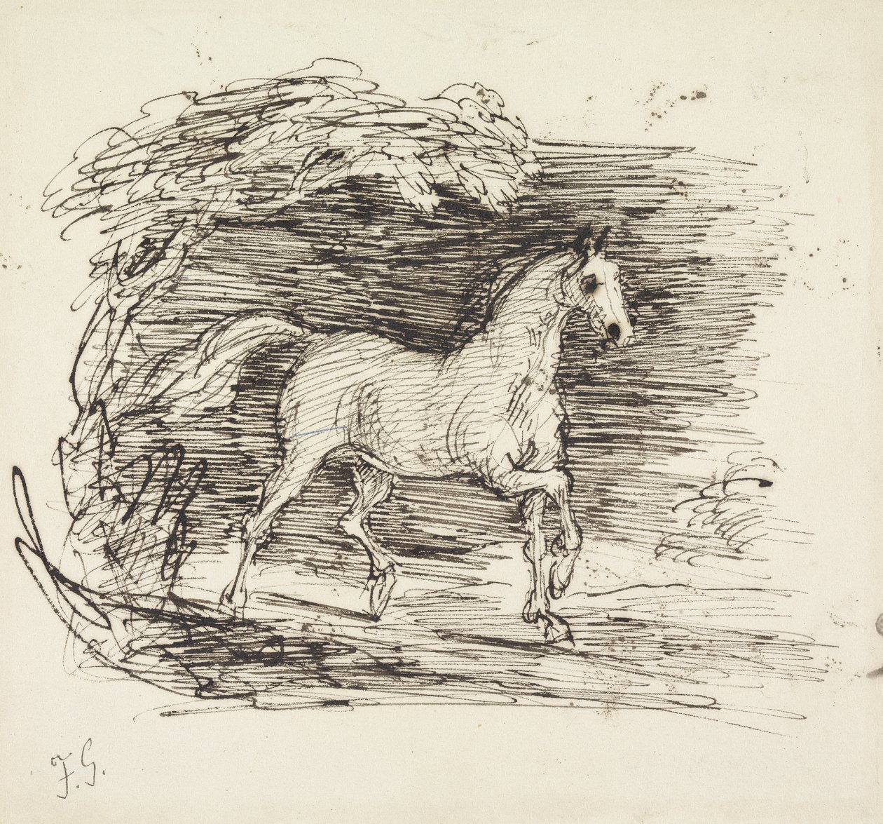 Un cheval gris trottant hors d