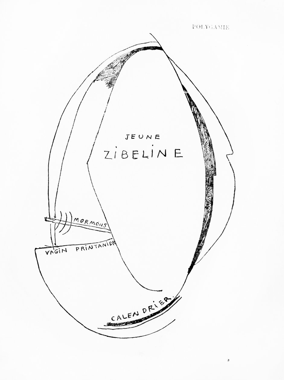 Poemes et Dessins de la Fille nee sans Mere, no.15, published by Imprimeries Reunies, Lausanne - Francis Picabia