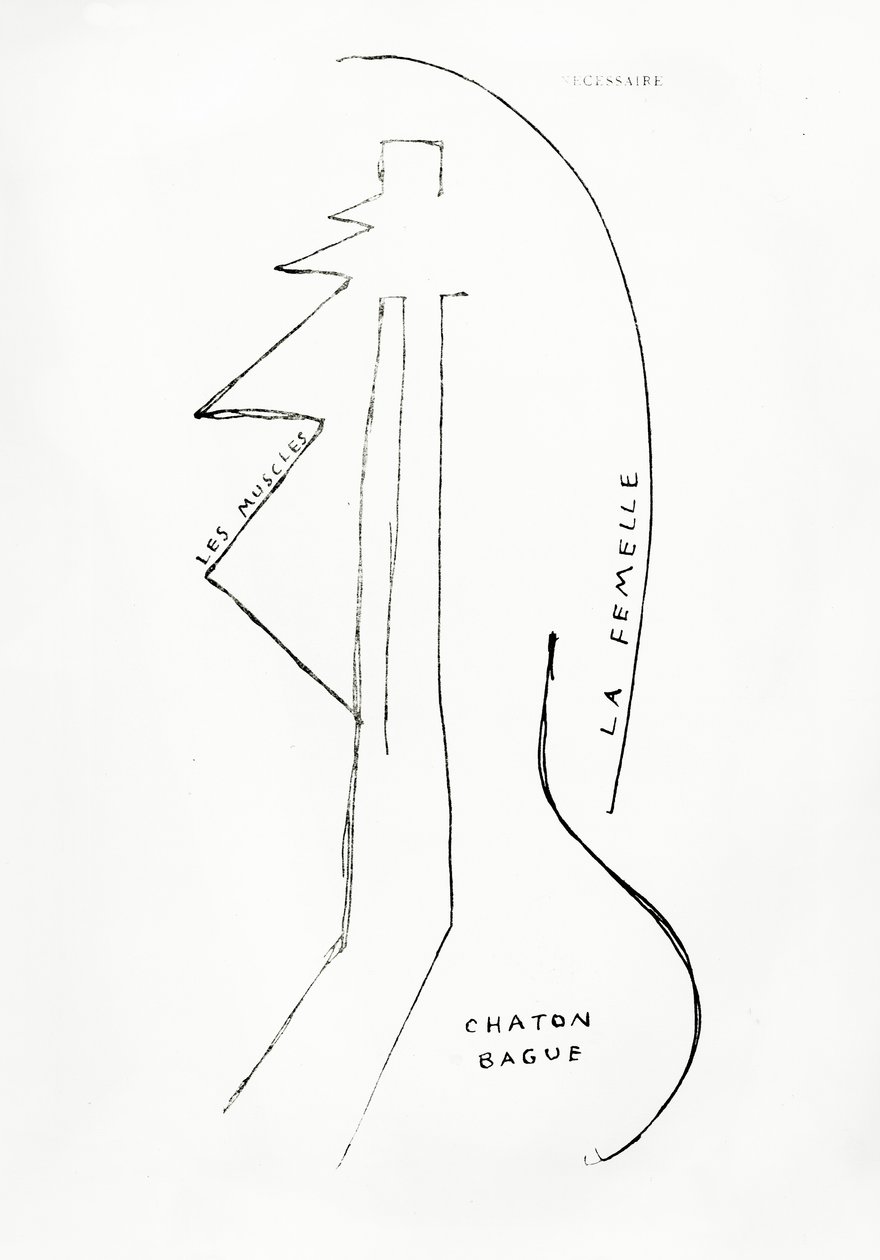 Poemes et Dessins de la Fille nee sans Mere, no.23, published by Imprimeries Reunies, Lausanne - Francis Picabia