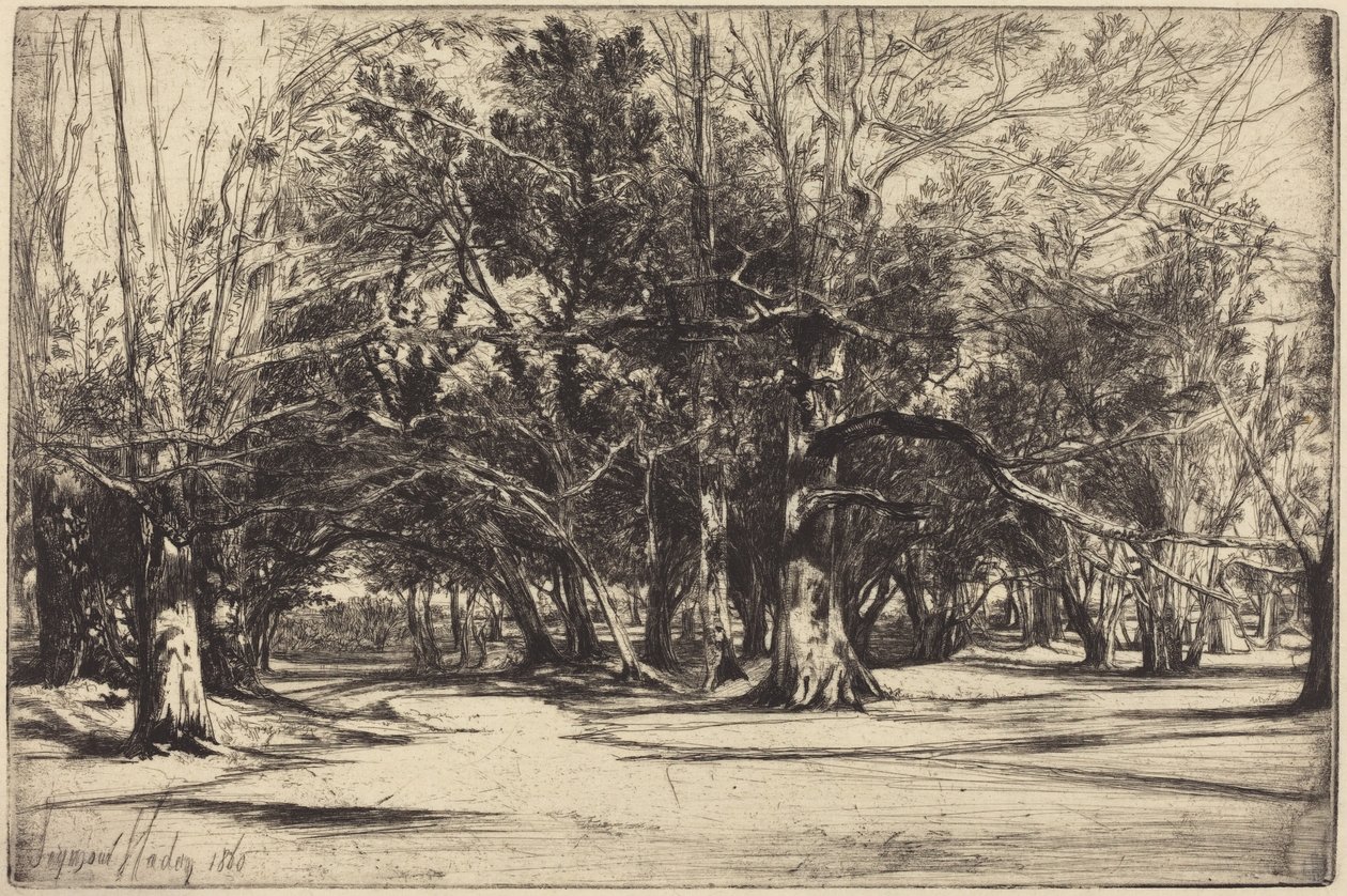 Un chemin de traverse dans le Tipperary - Francis Seymour Haden
