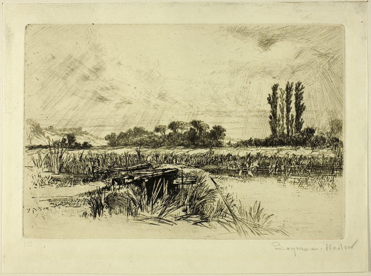 Un pré humide - Francis Seymour Haden