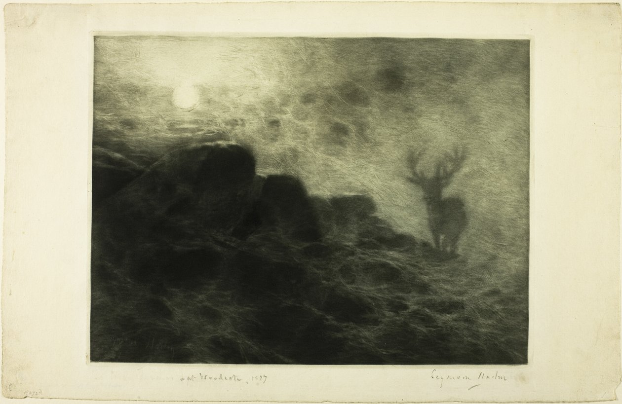Un lève-tôt - Francis Seymour Haden