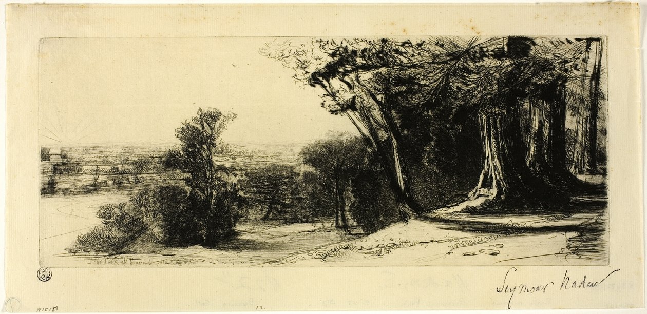 Tôt le matin, parc de Richmond - Francis Seymour Haden