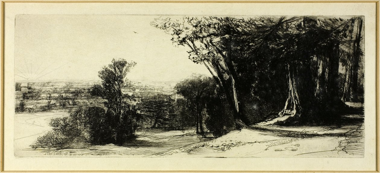 Tôt le matin, Richmond Park - Francis Seymour Haden