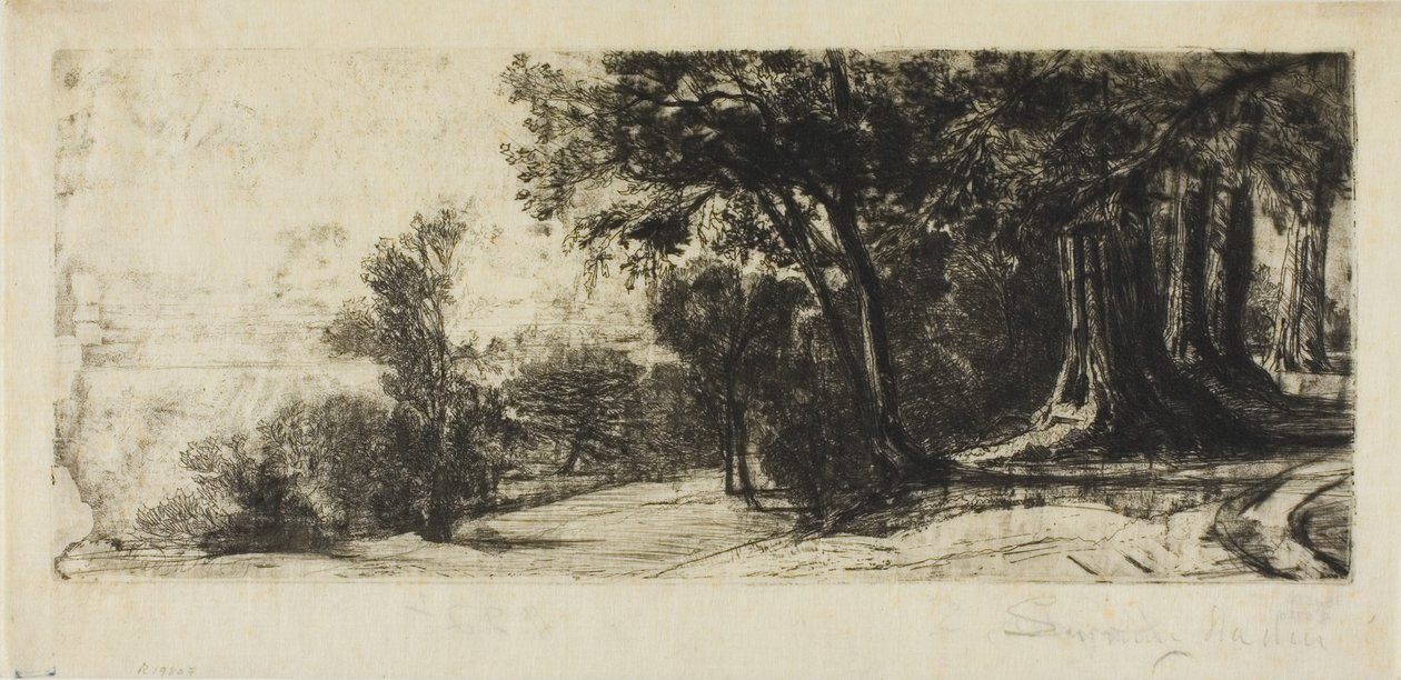 Tôt le matin, Richmond Park - Francis Seymour Haden