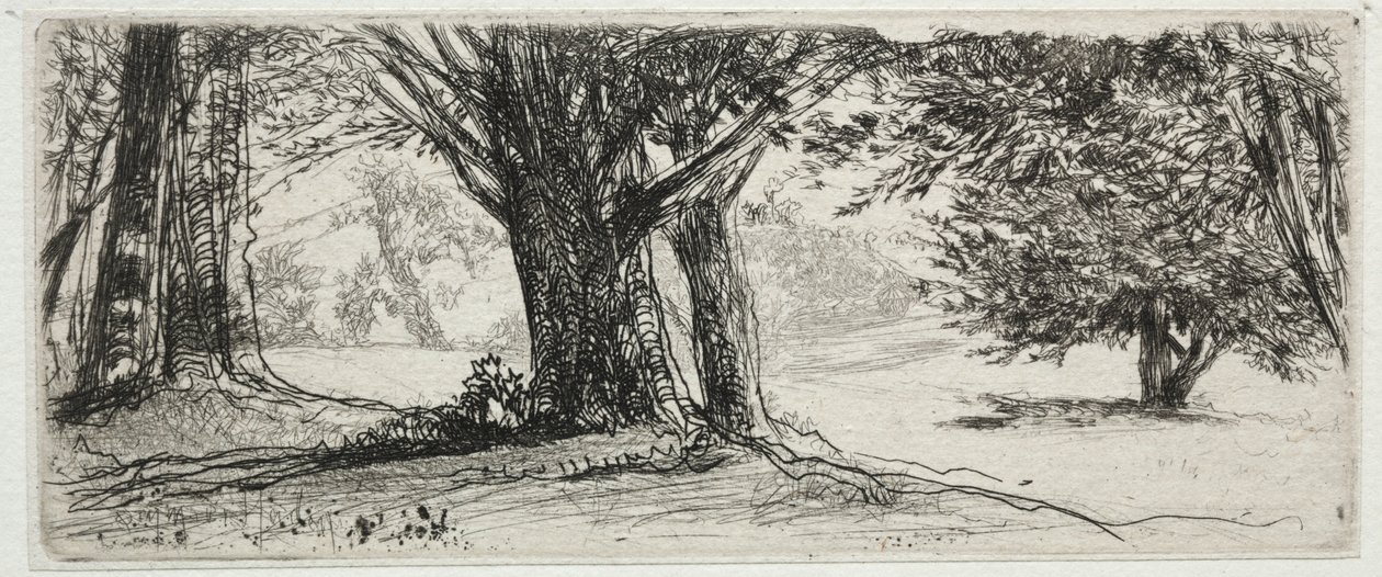 Le Champ de houx - Francis Seymour Haden