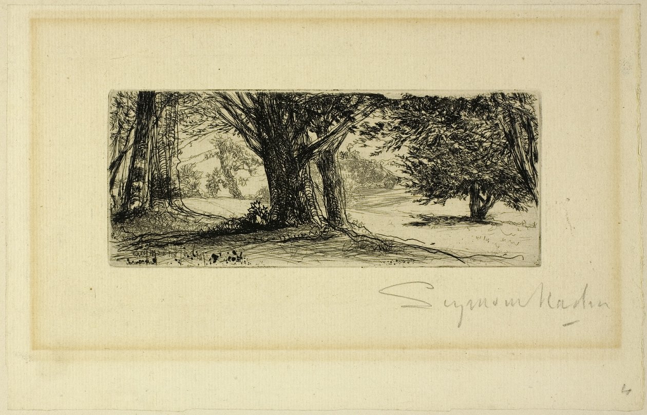 Les champs de houx - Francis Seymour Haden