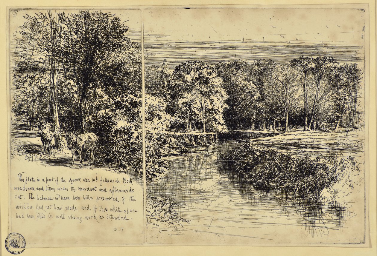 Les deux ânes et la rivière Dundrum - Francis Seymour Haden