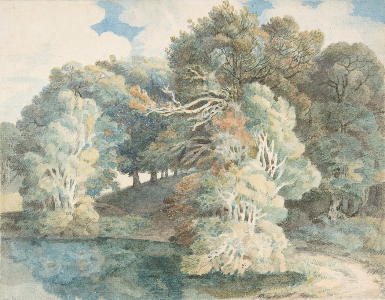 Arbres près du lac, Peamore Park, près d