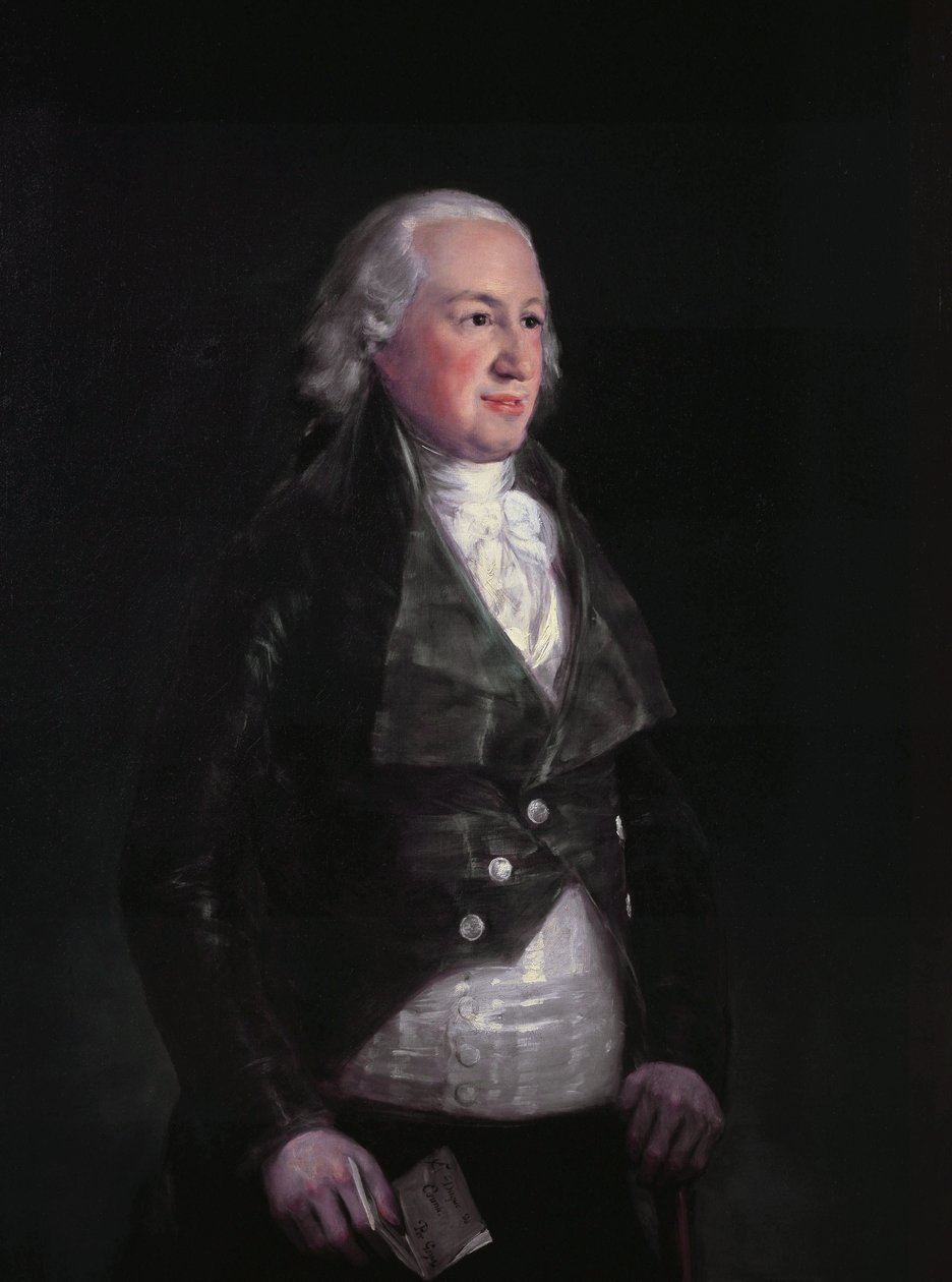 Don Pedro de Alcántara Téllez Girón - Francisco de Goya