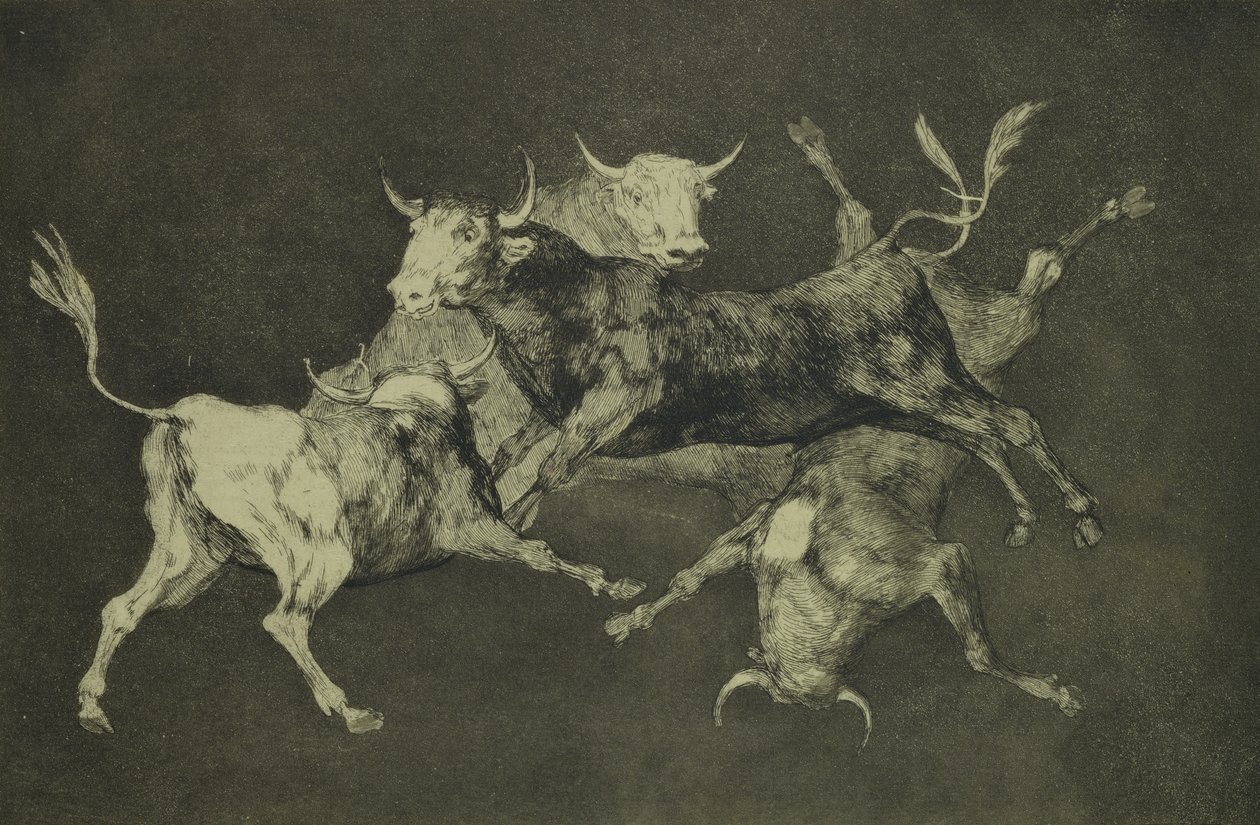La Folie des taureaux, de la série Follies, vers 1815-24 - Francisco de Goya