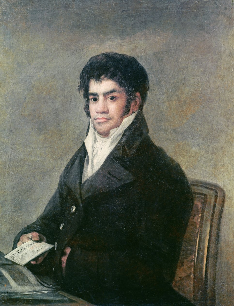 Portrait de Don Francisco del Mazo, c.1815 - Francisco de Goya