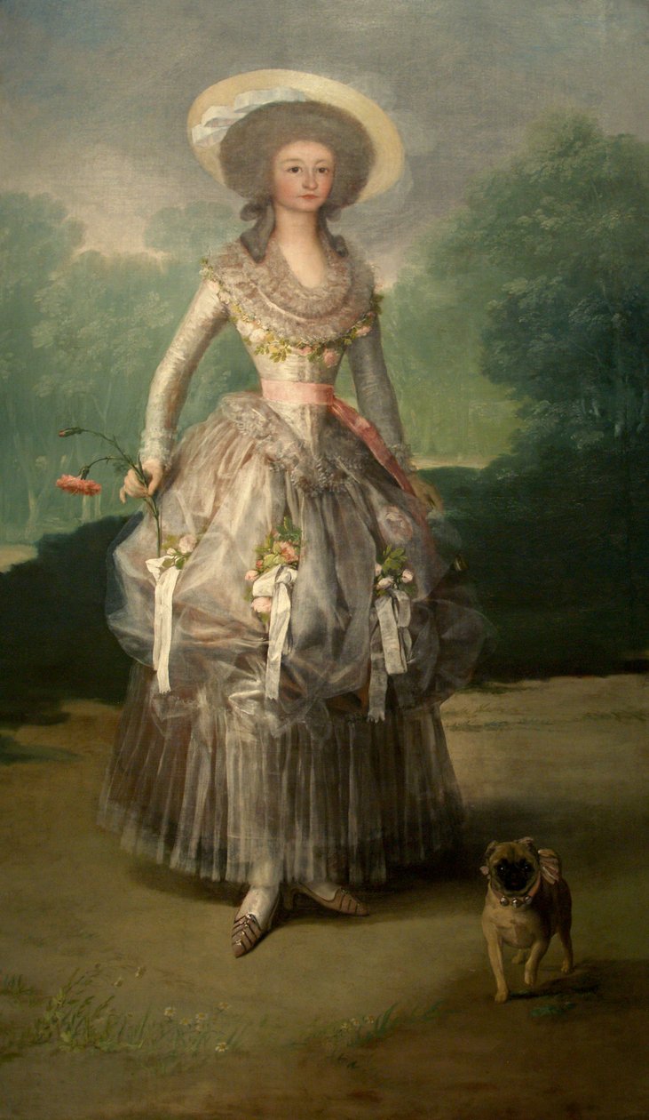 Portrait de María Ana de Pontejos y Sandoval - Francisco de Goya