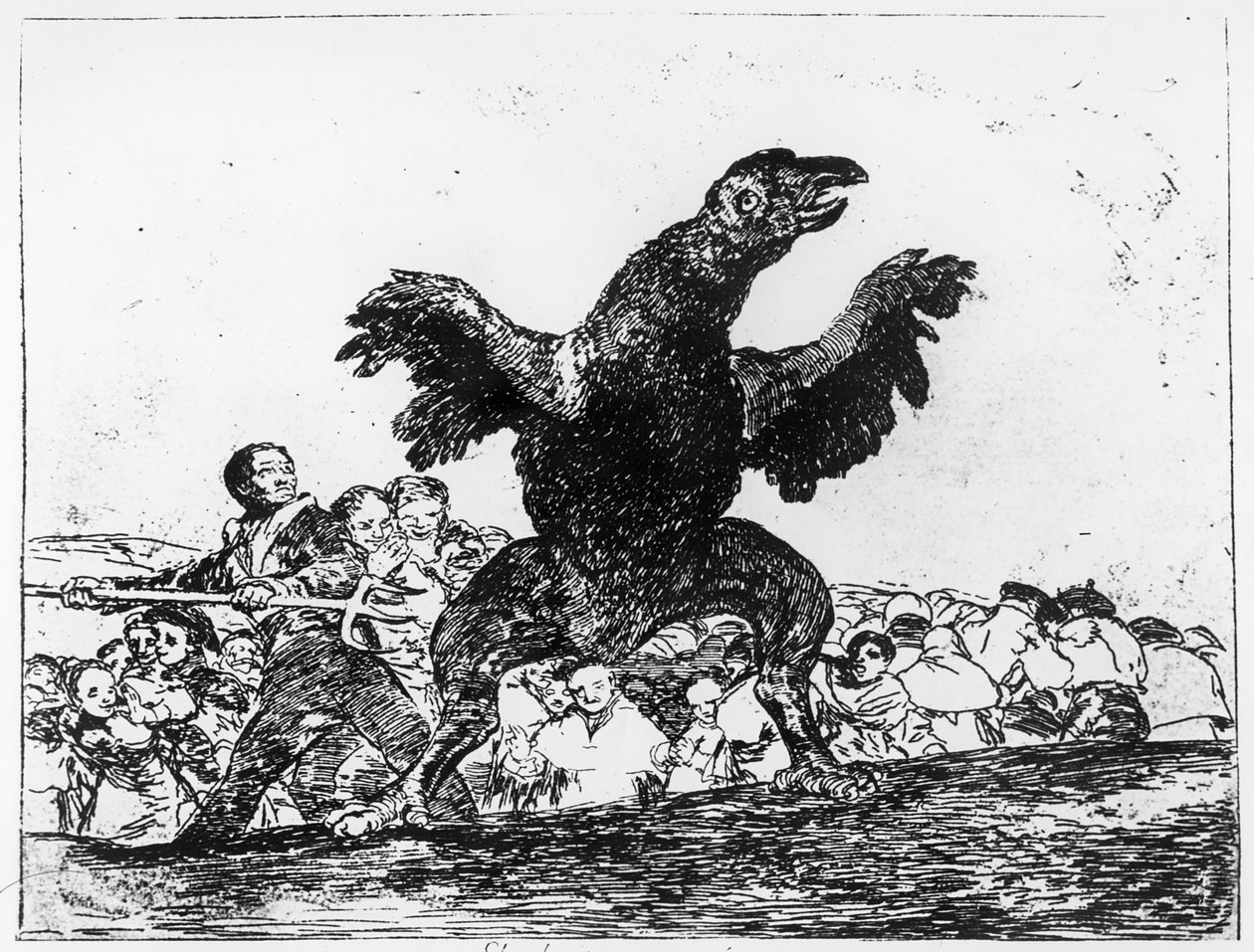 Le Vautour Carnivore, planche 76 de 