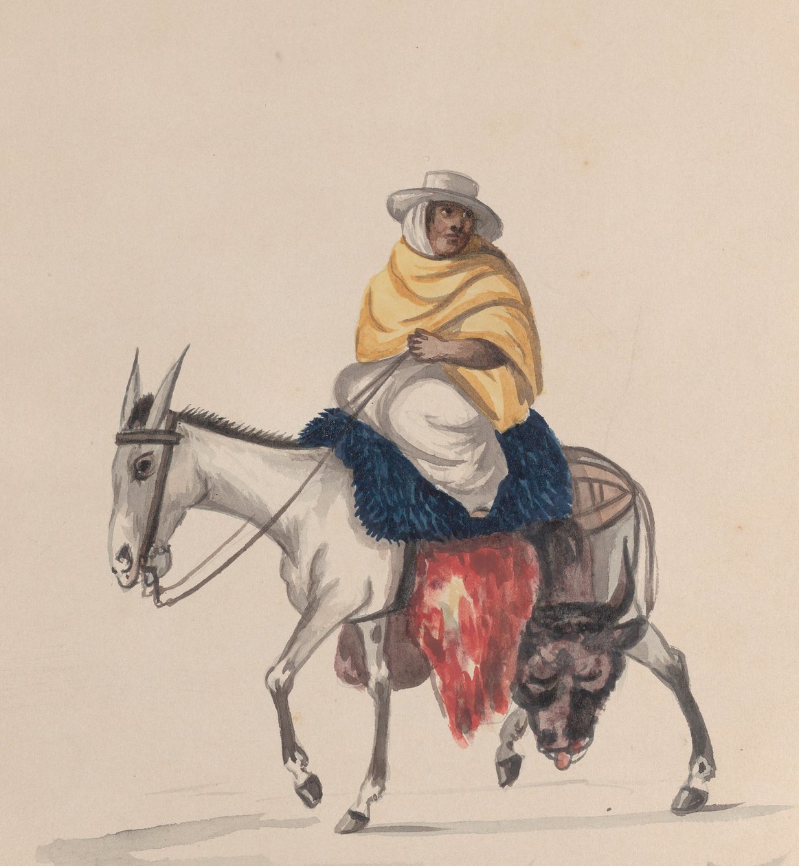 Un boucher à dos d