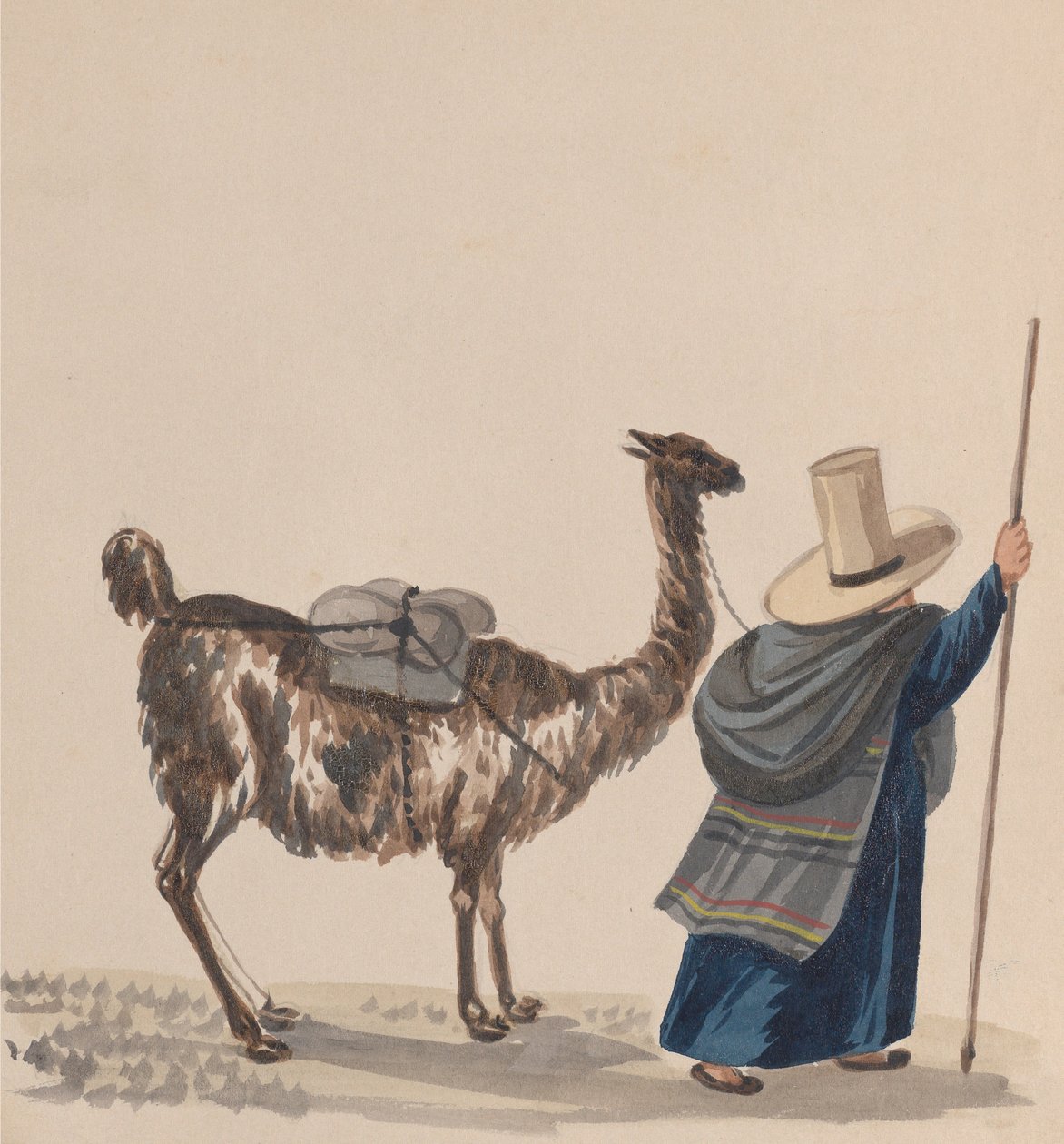 Une femme marchant avec un lama, d