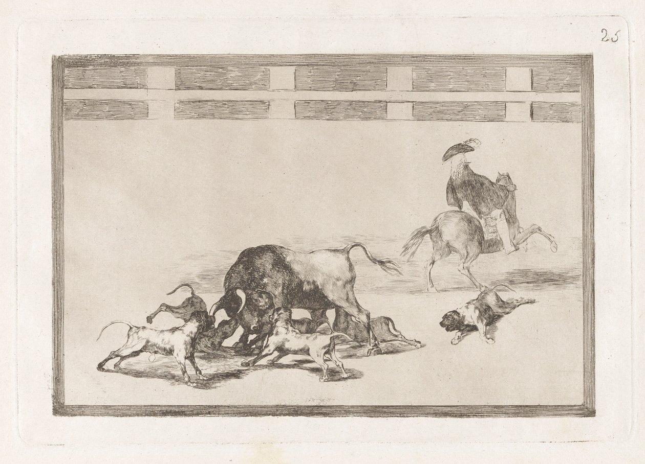 Ils lâchent des chiens sur le taureau, Planche 25 de La tauromachie - Francisco de Goya