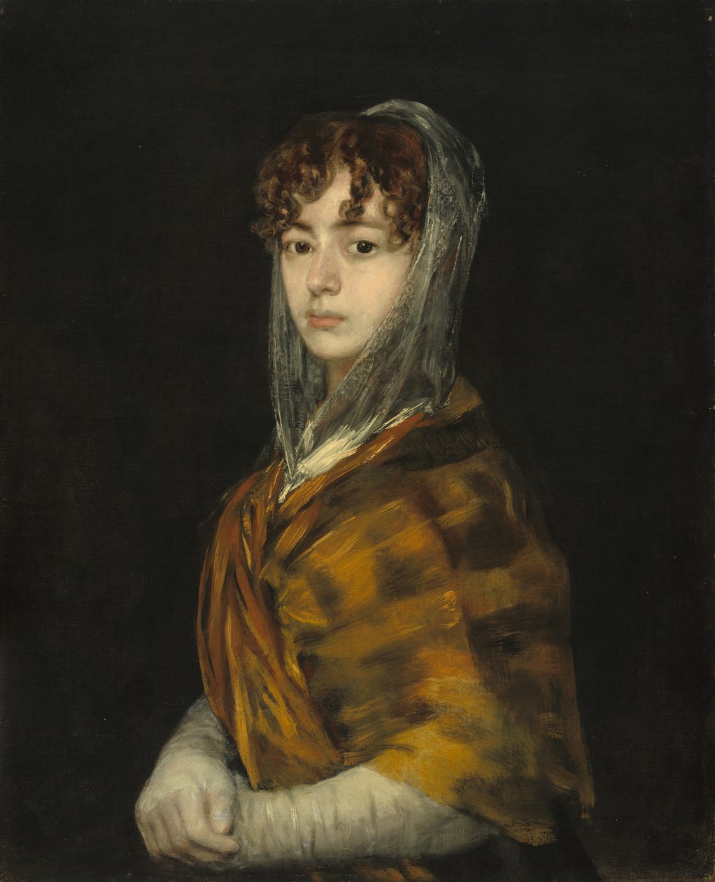Señora Sabasa Garcia - Francisco de Goya