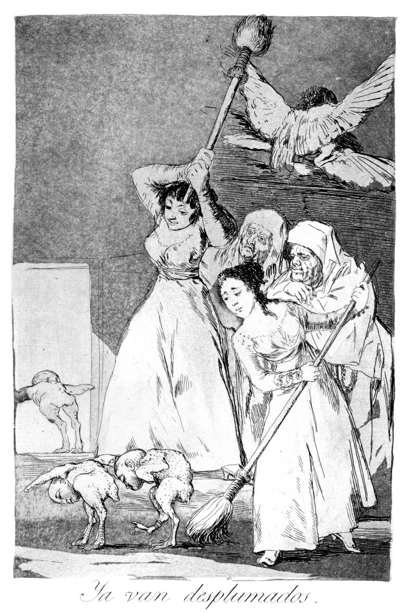 Les voilà partis, plumés, 1799 - Francisco de Goya