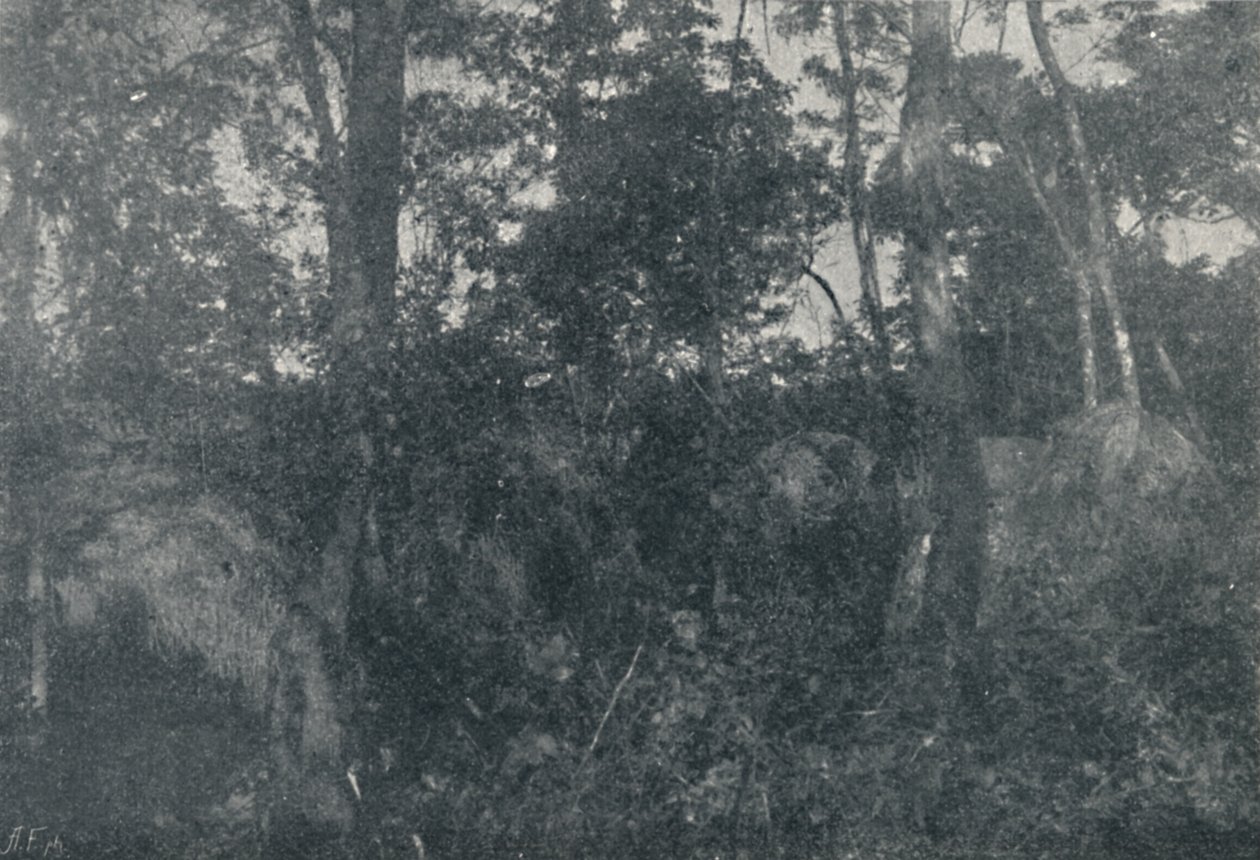 Cabanas de Indios, 1895 - Francisco Henszler