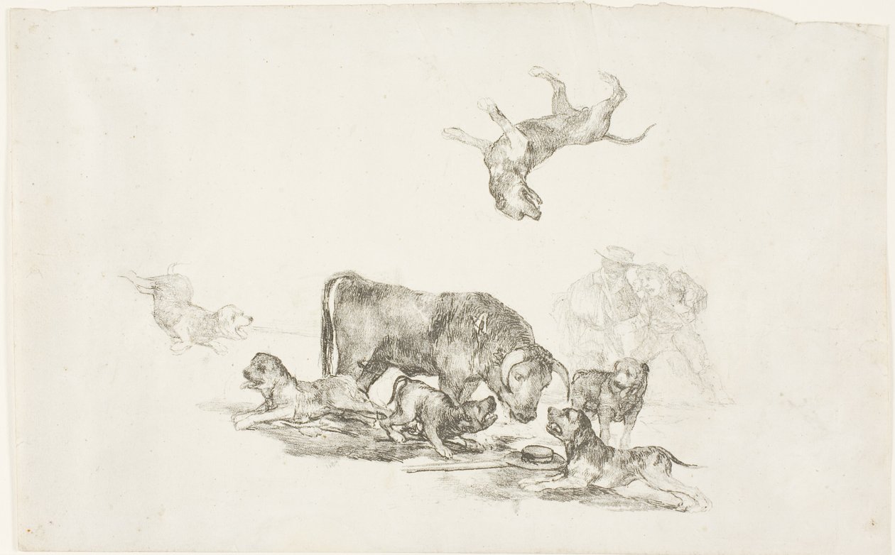 Taureau attaqué par des chiens - Francisco Jose de Goya y Lucientes