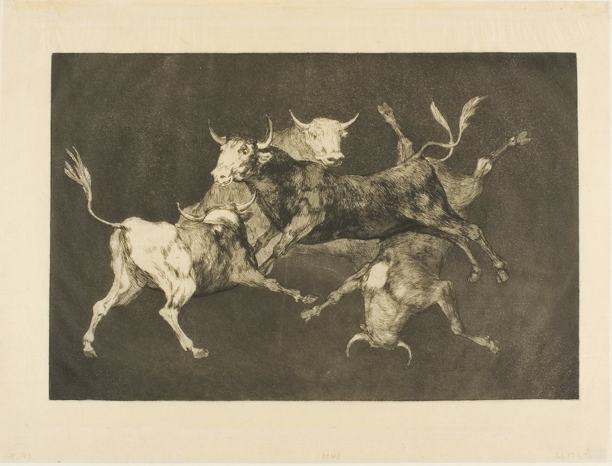 La folie du fou, de Disparates - Francisco Jose de Goya y Lucientes