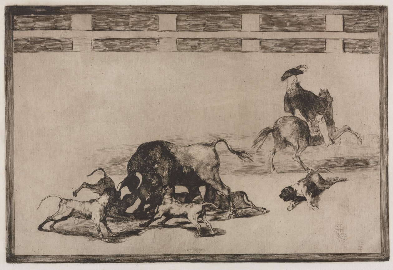 Corridas : Ils lâchent des chiens sur le taureau - Francisco de Goya