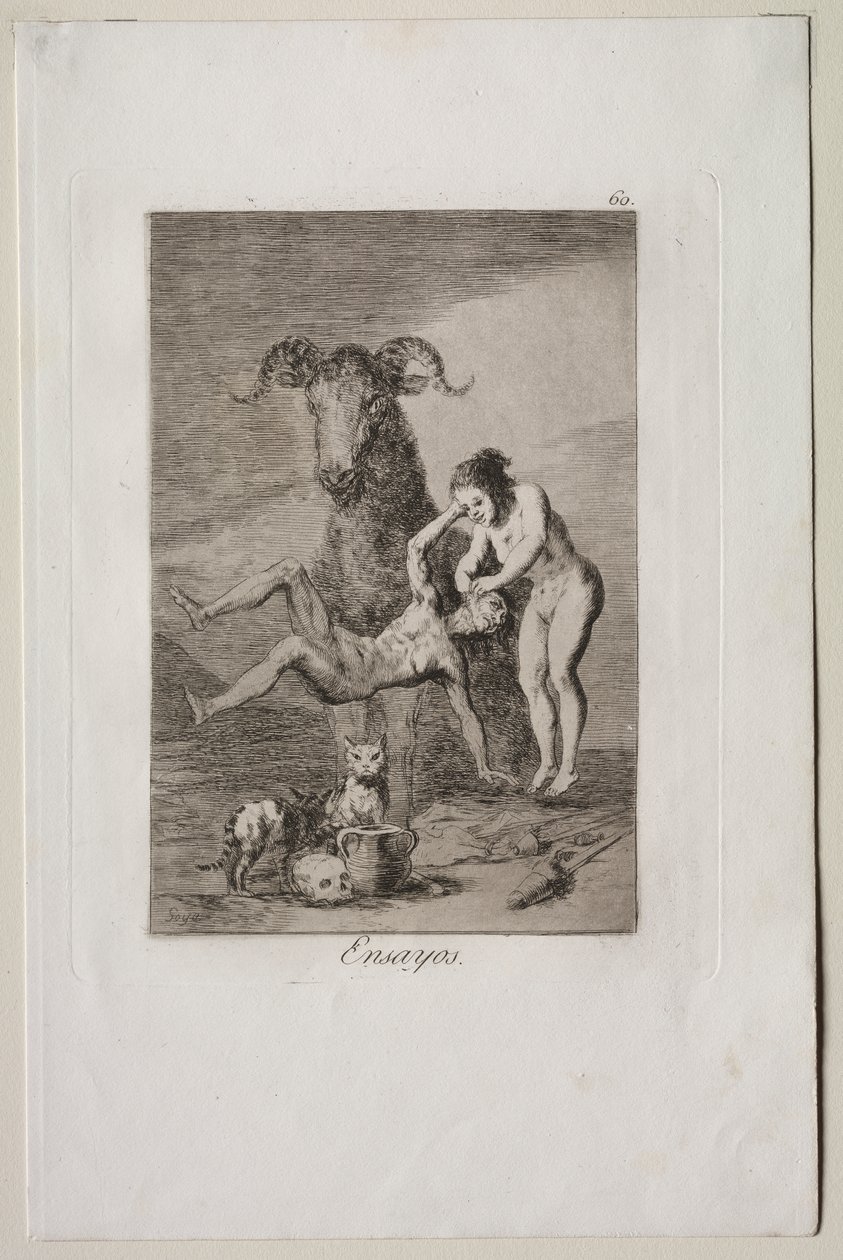 Caprices : Épreuves - Francisco de Goya