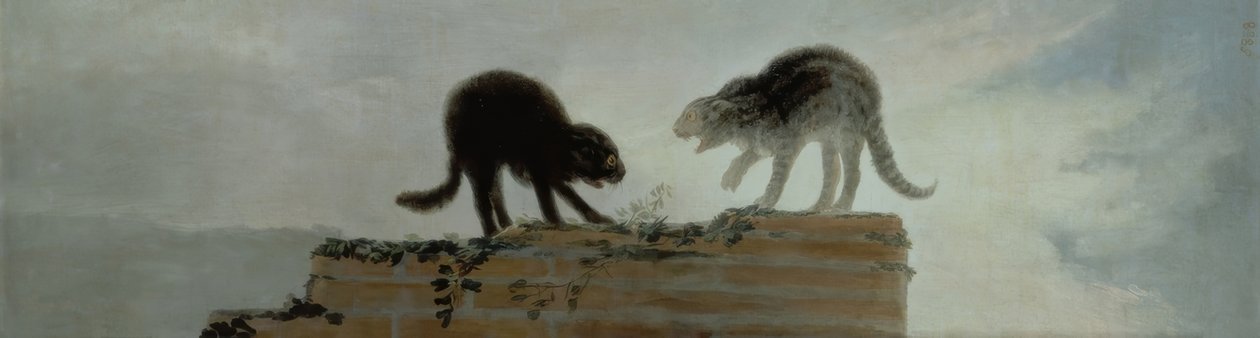 Chats se battant - Francisco de Goya