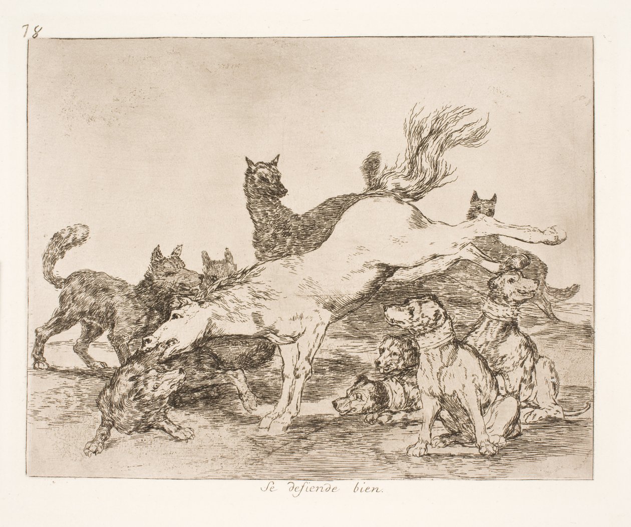 Ils se défendent bien (78) - Francisco de Goya