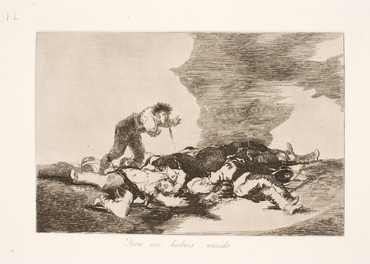 Sommes-nous nés pour cela (12) - Francisco de Goya