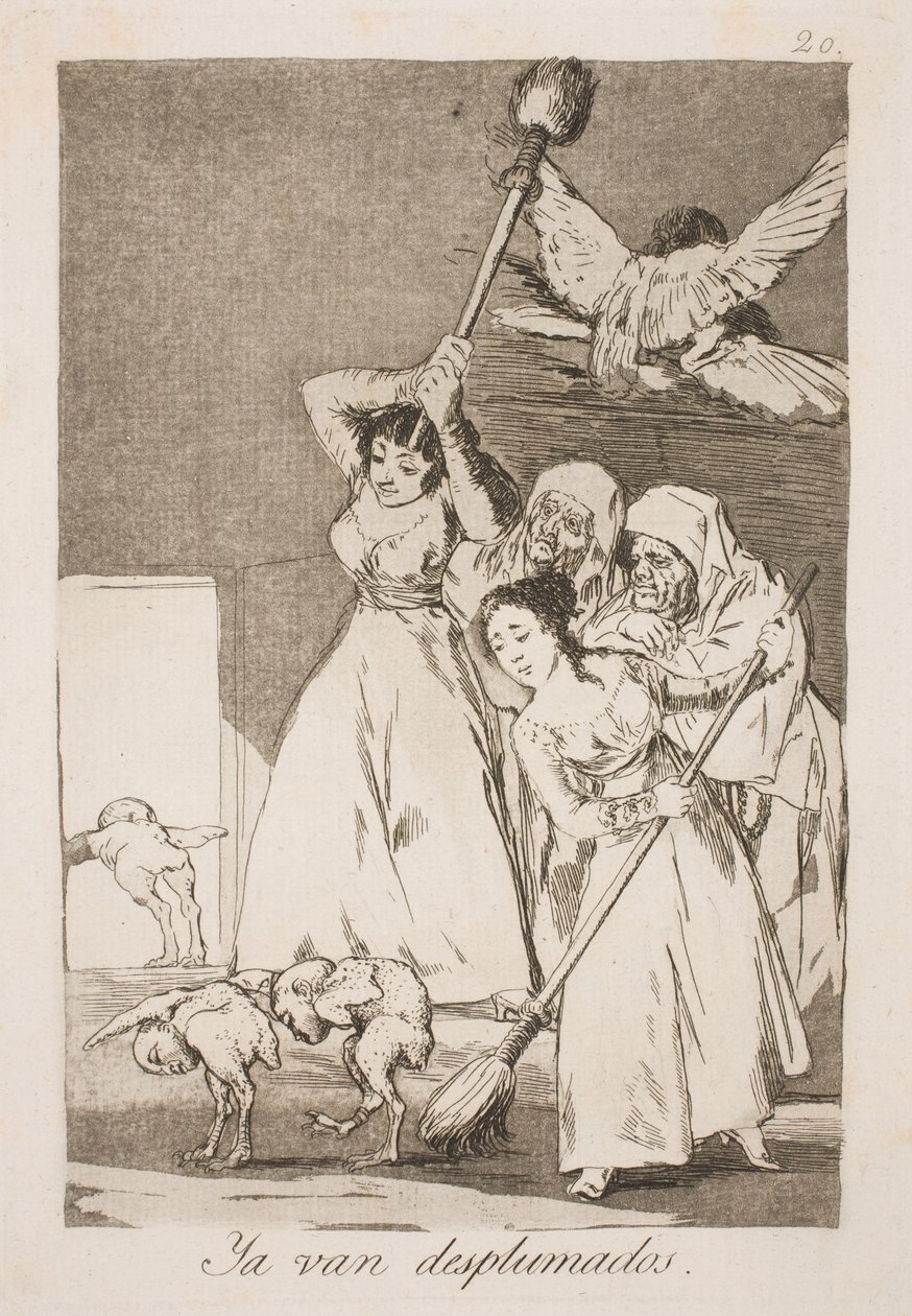 Ici, ils ont été cueillis pour toutes les plumes - Francisco de Goya