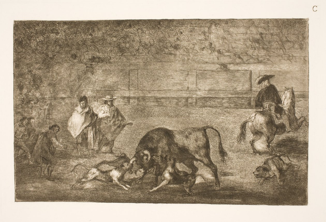 Les chiens lâchés sur le taureau - Francisco de Goya