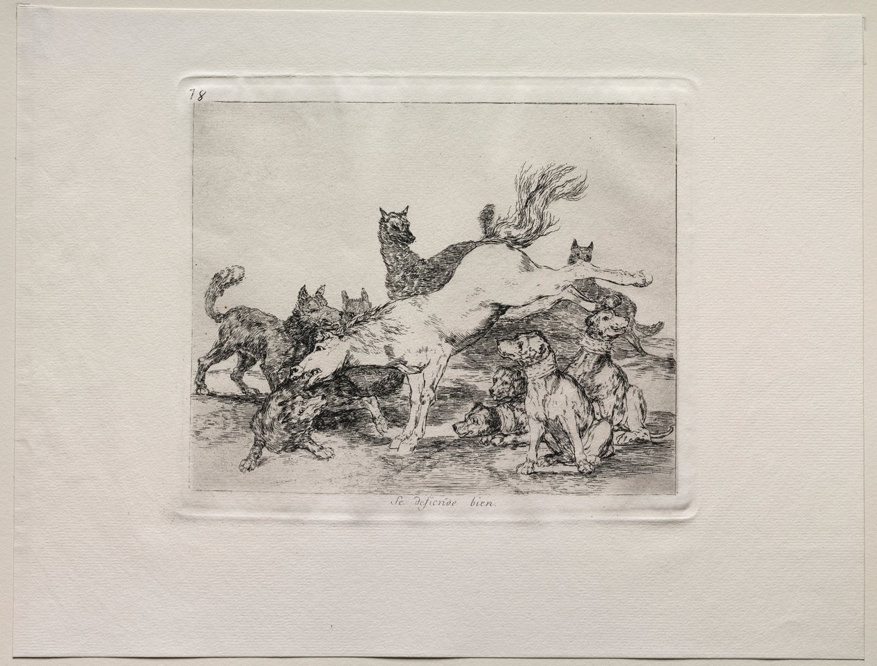 Les horreurs de la guerre : Il se défend bien - Francisco de Goya