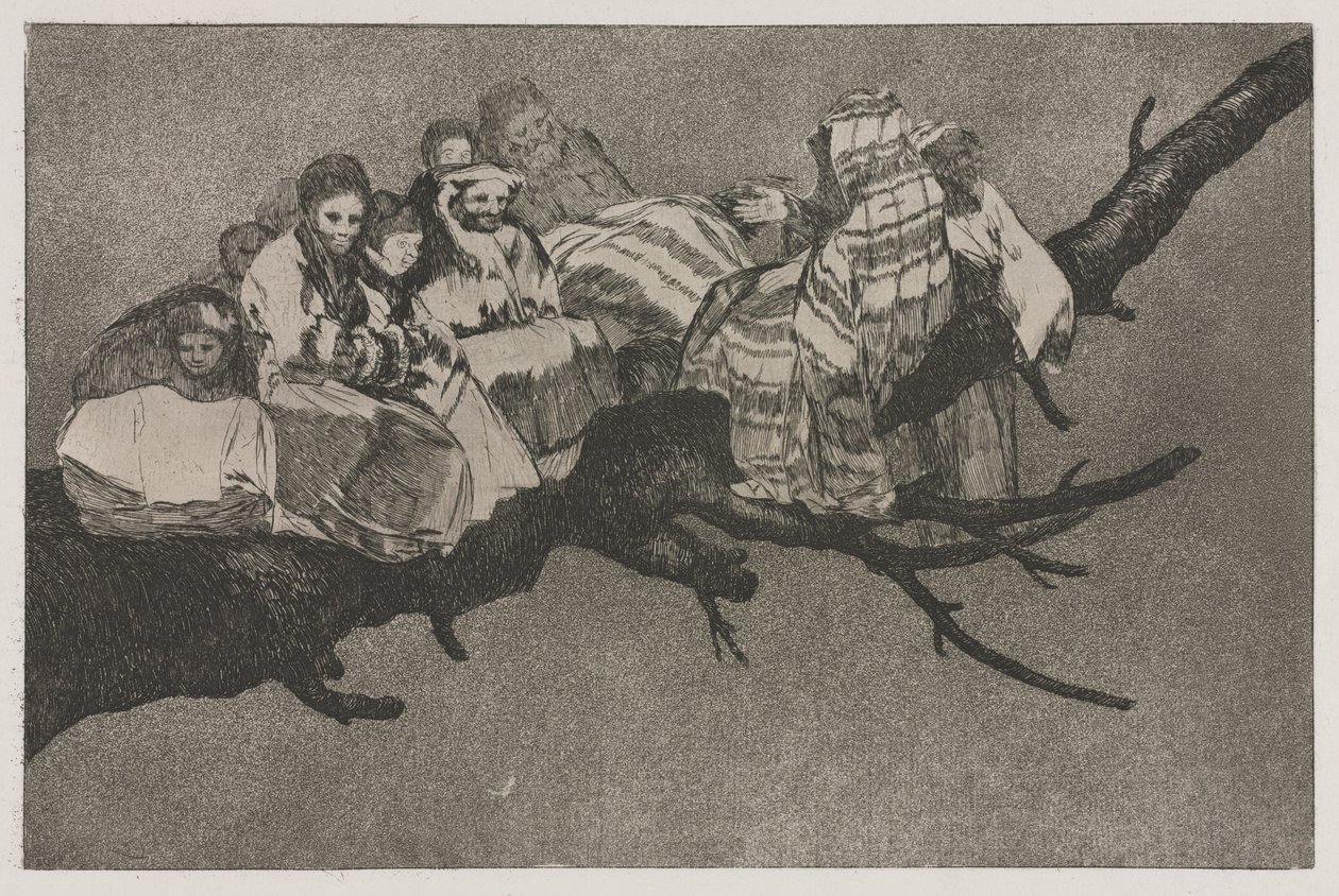 Les proverbes : Folie ridicule | Francisco de Goya