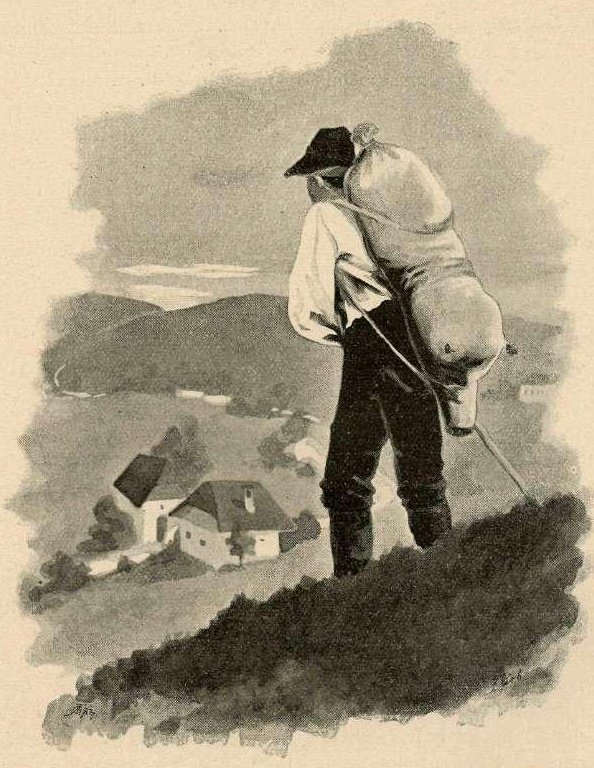 Dans la framboisière - Francisek Dobnikar