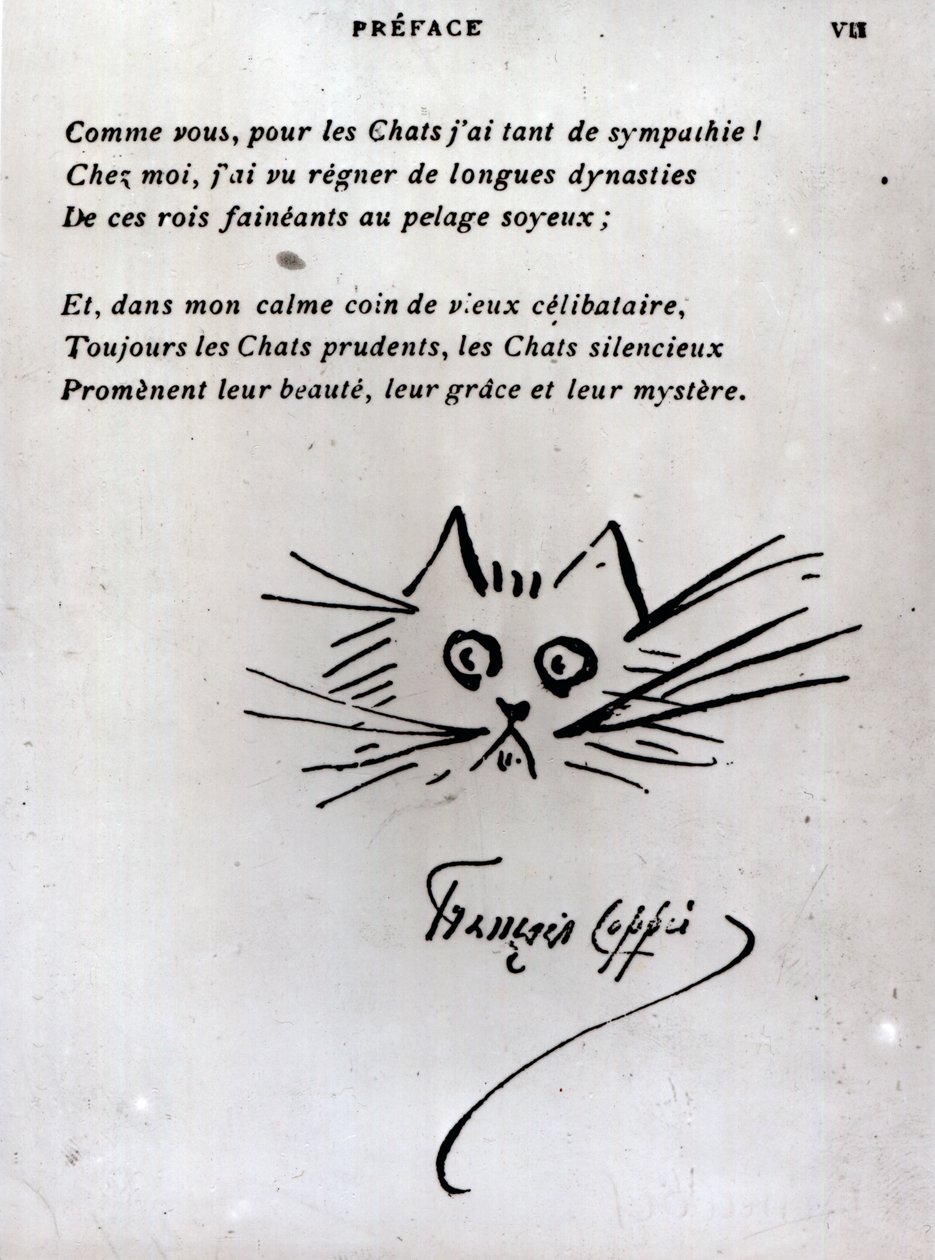 Tête de chat, illustration pour un poème de François Coppée - Francois Coppee