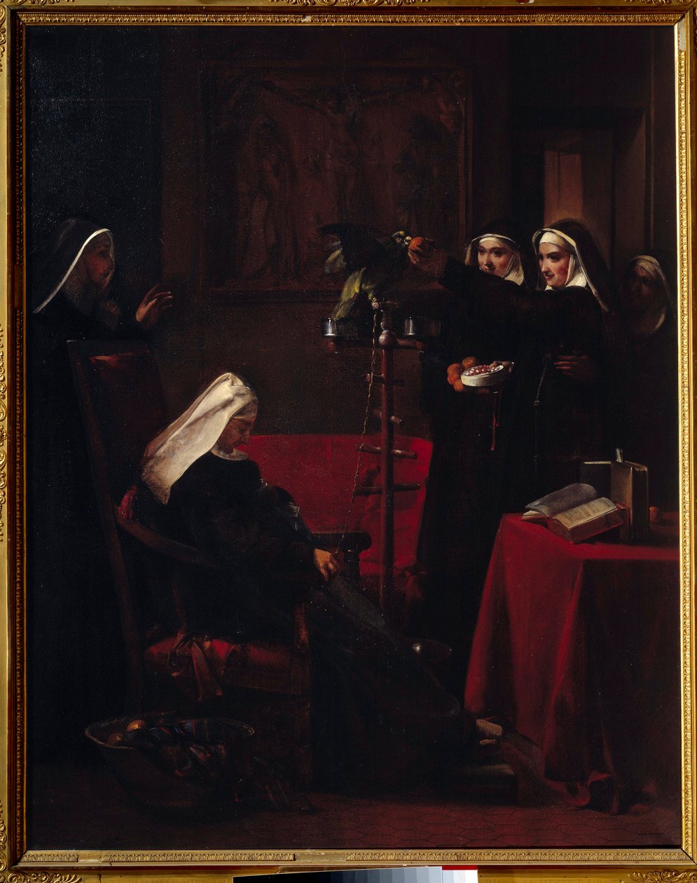 Nonnes vertes nourrissant le perroquet d