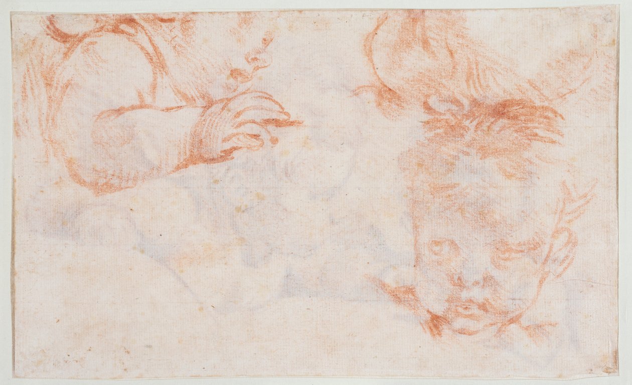 Trois têtes de garçons. Études pour un panneau de porte à Amalienborg - François Boucher