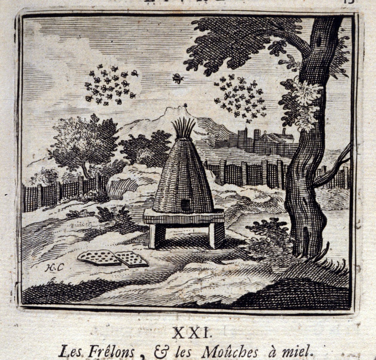 Les Frelons et les Mouches à miel - Francois Chauveau