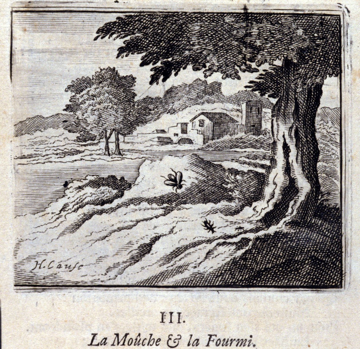 La Mouche et la Fourmi - Francois Chauveau
