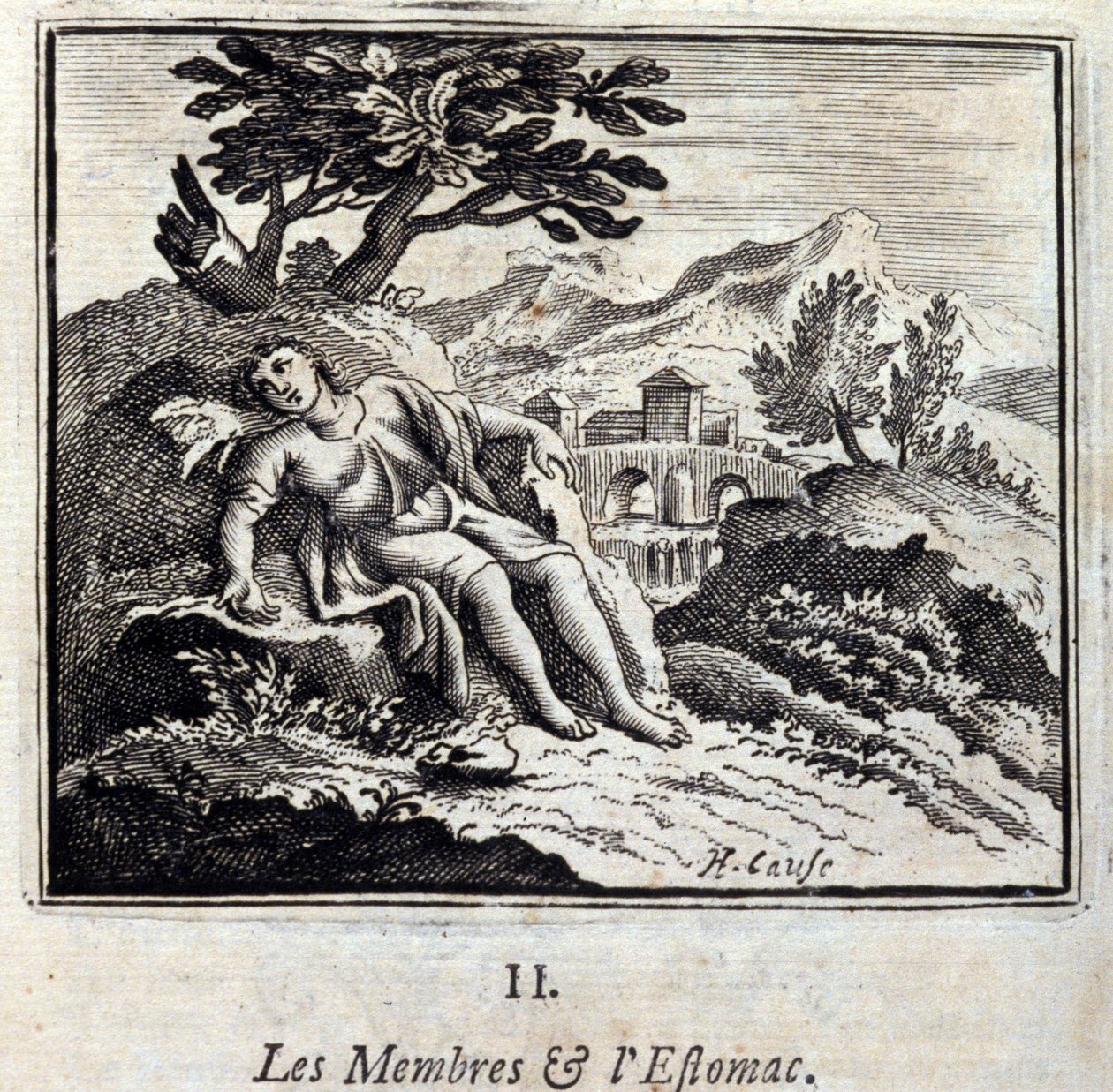 Les membres et l