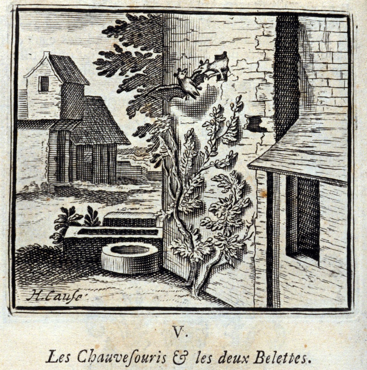 La Chauve-souris et les deux Belettes - Francois Chauveau
