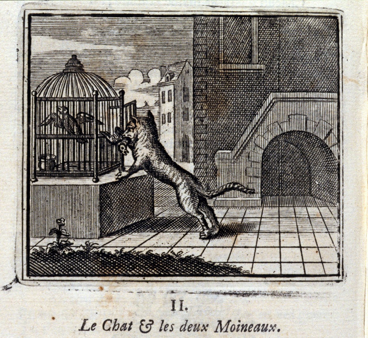 Le Chat et les Deux Moineaux - Francois Chauveau