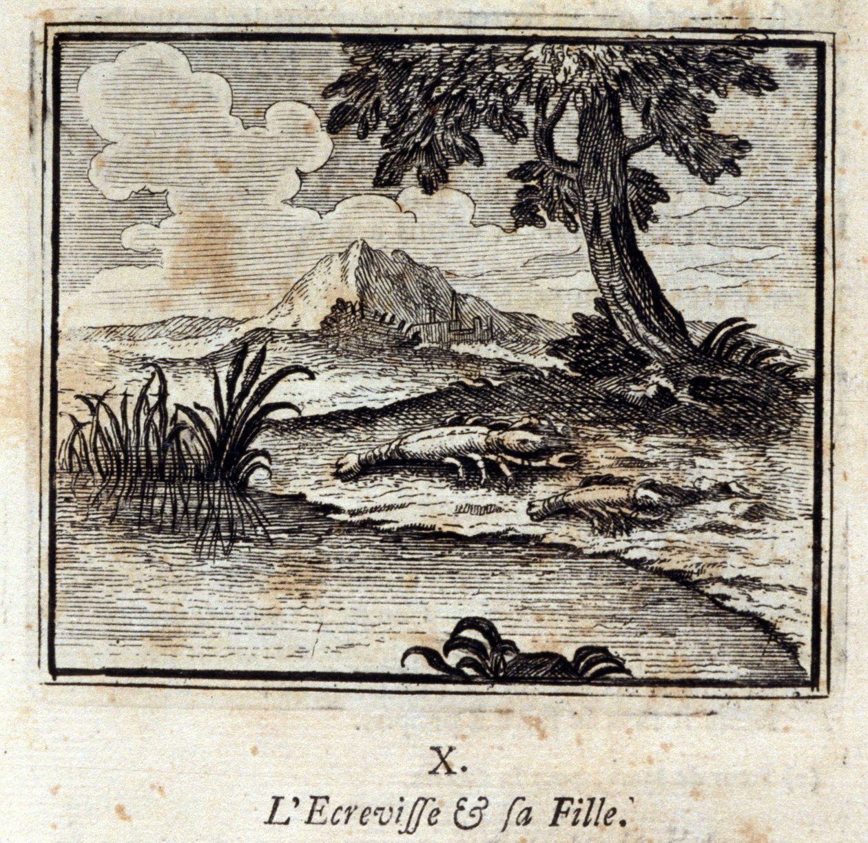 La Crevisse et sa fille. Fables de Jean de La Fontaine (1621-95). Illustration de François Chauveau (1613-1676). Édition de 1728. - Francois Chauveau