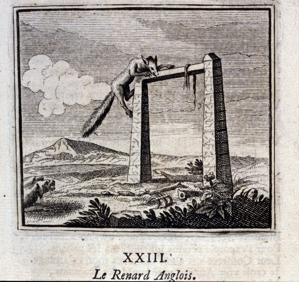 Le Renard anglais. Fables de Jean de La Fontaine (1621-95). Illustration de François Chauveau (1613-1676). Édition de 1728. - Francois Chauveau