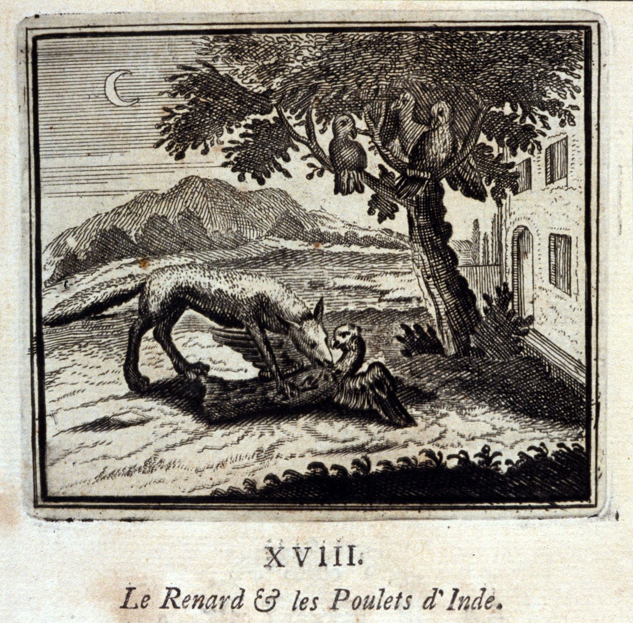Le renard et les poules d
