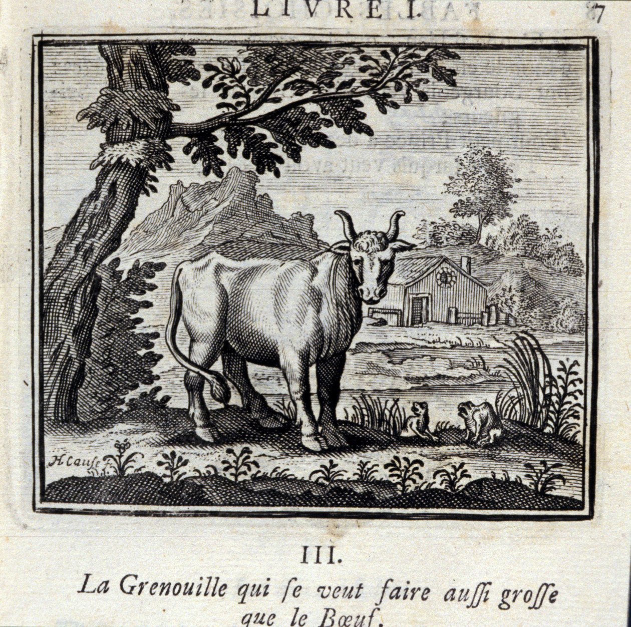 La grenouille qui veut se faire aussi grosse que le bœuf - Francois Chauveau