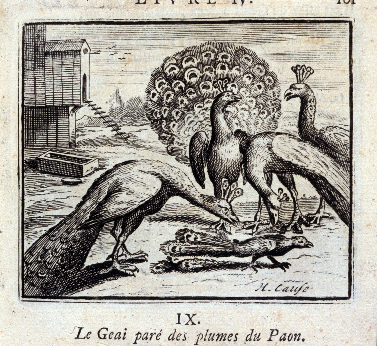 Le geai paré des plumes du paon - Francois Chauveau